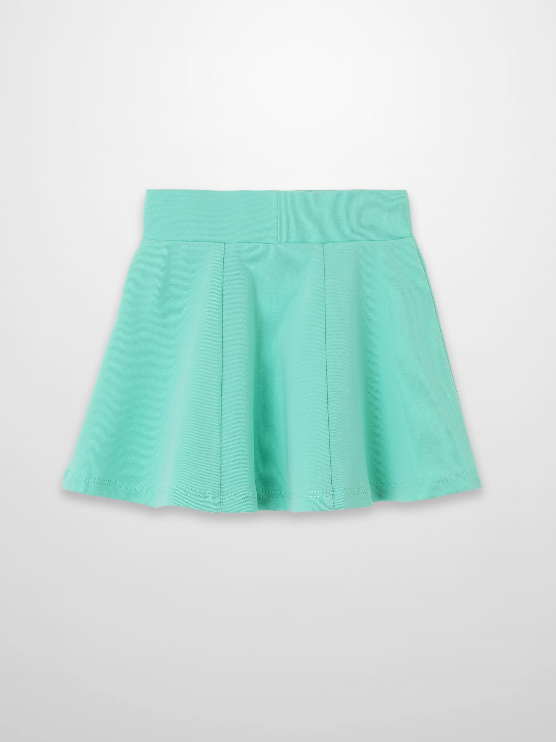 Mint green 6-panel skirt with a wide waistband and A-line silhouette.