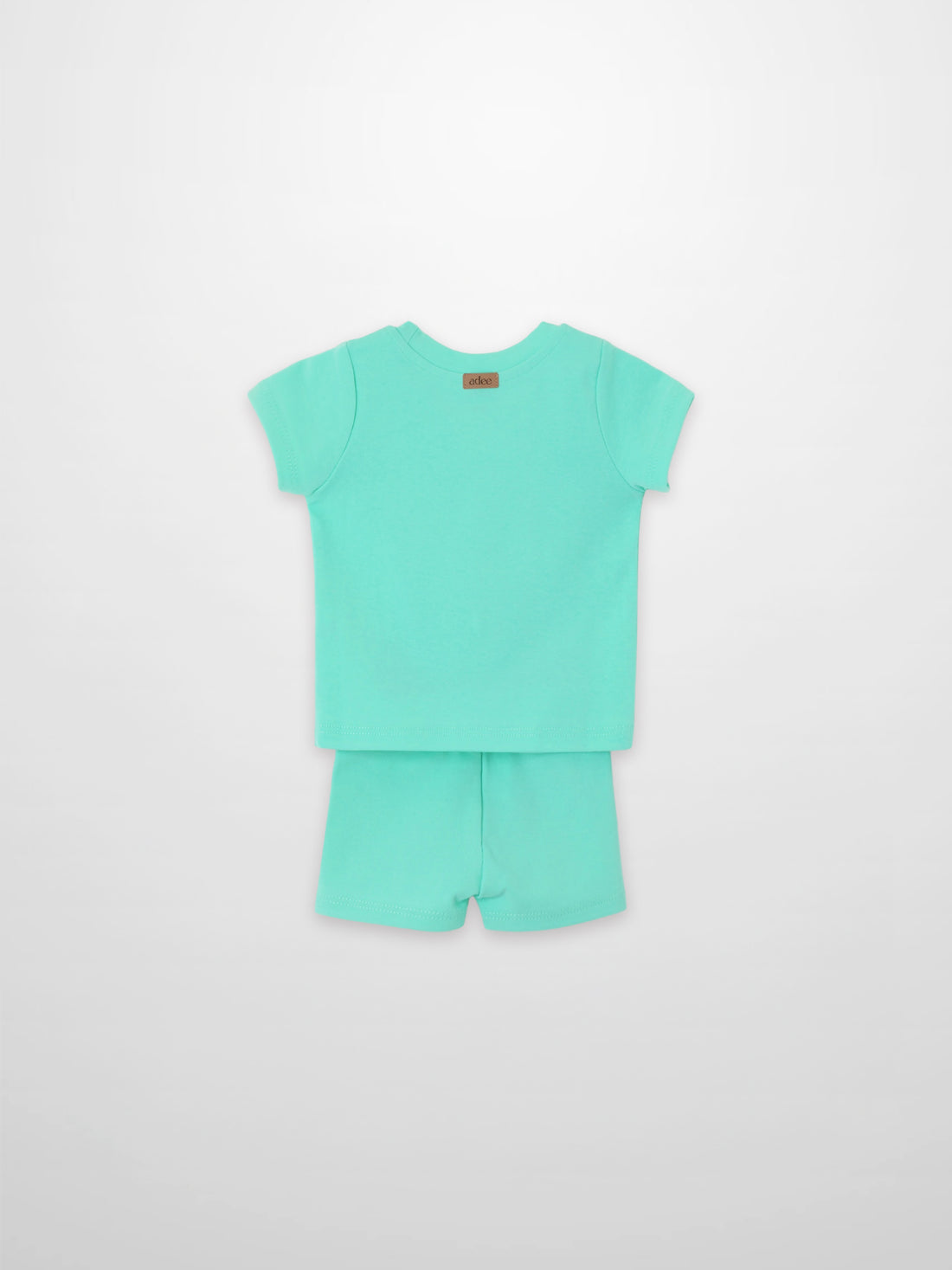 Short Sleeve Boxy T-shirt &amp; Shorts Set in mint green by Adee for little boys, set of 2.