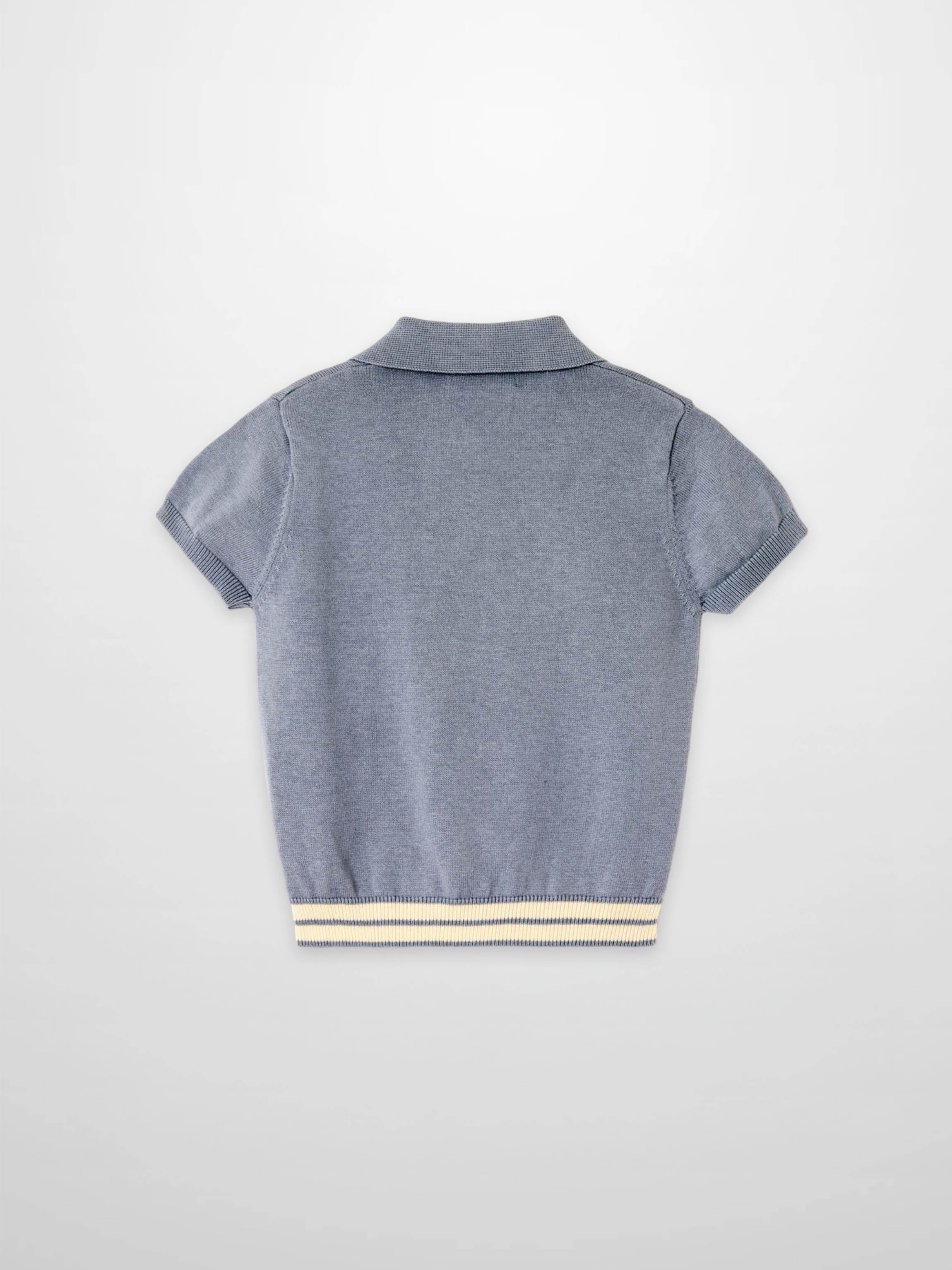 Back view of light blue knit sweater with short sleeves, polo collar, and striped hem.