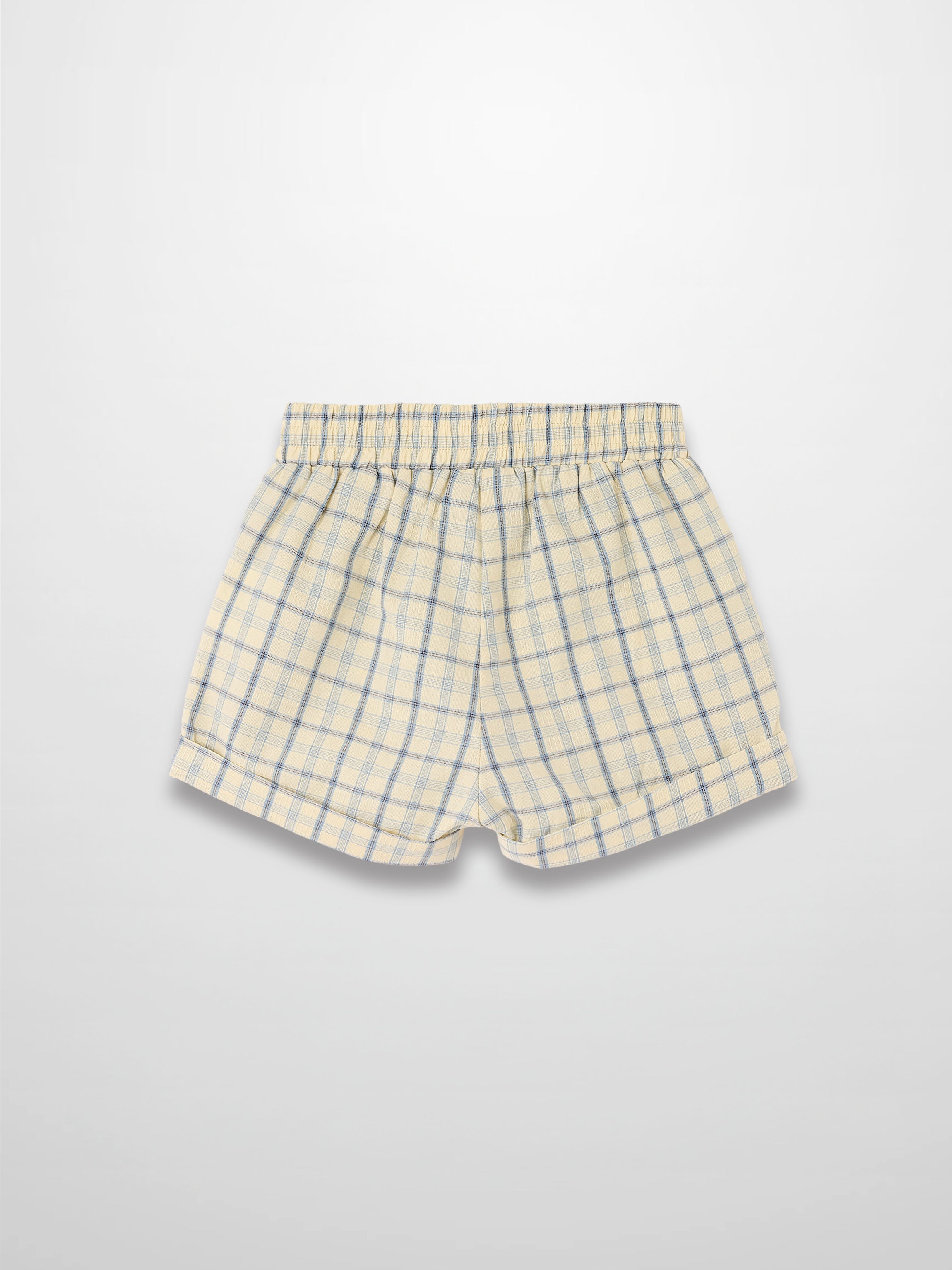 Plaid Shorts