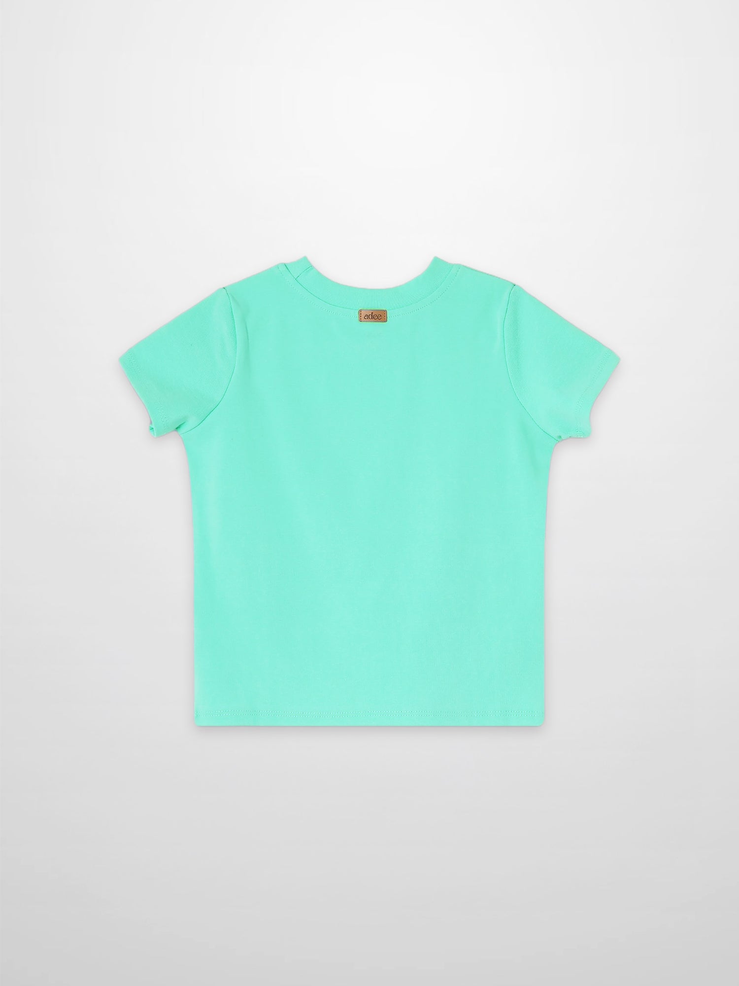 Thin Ribbed T-Shirt Mint Green for boys by Adee, back view with small neck label