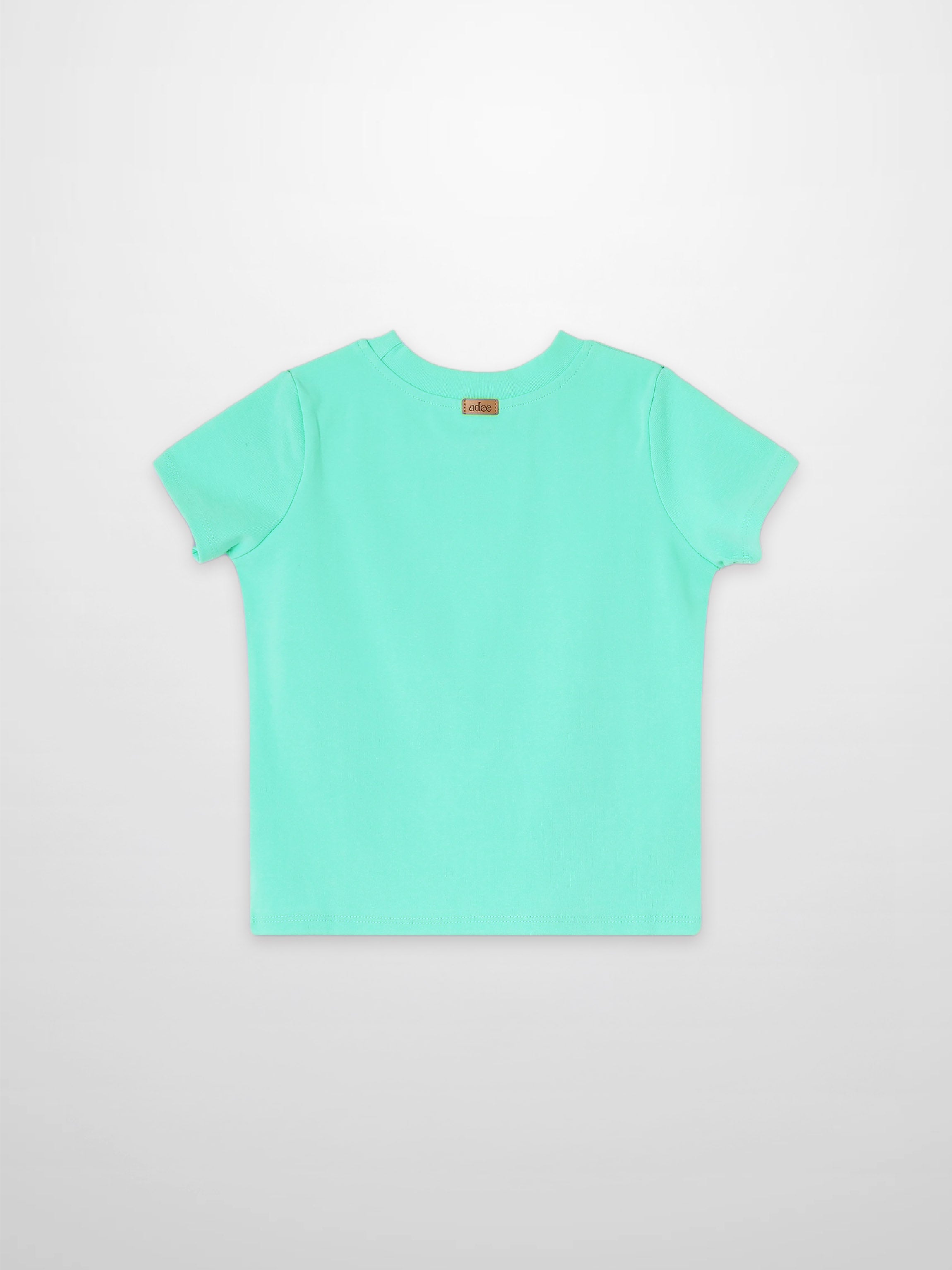 Thin Ribbed T-Shirt Mint Green for boys by Adee, back view with small neck label