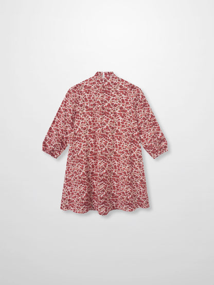 Red Flower Dress for girls, dressy style with long sleeves, red floral print on a light background.